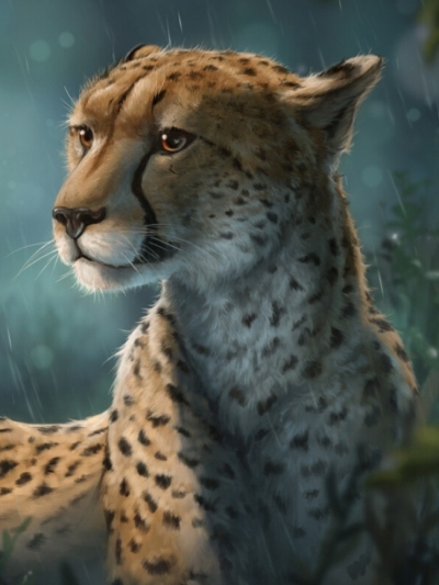 Bestia gepard olbrzymi.jpg