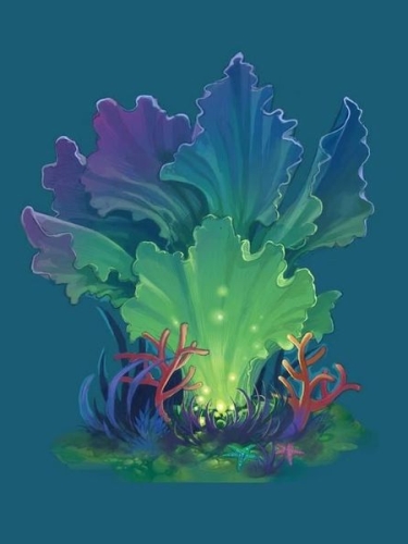 Roslina algi amano.jpg