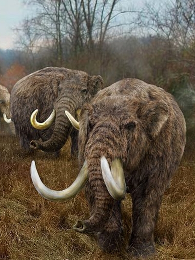 Bestia mastodont lesny.jpg
